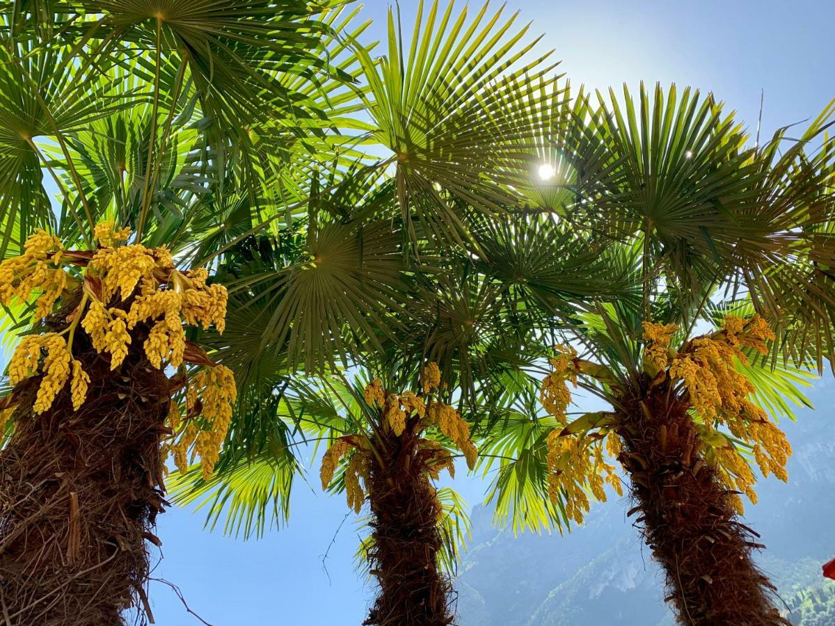 Albola Suite Holiday Apartments Riva del Garda Exteriér fotografie